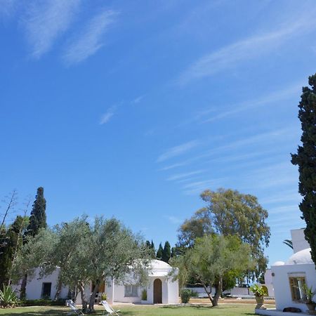 Lella Zohra, Studio Avec Piscine A Sidi Bou Said Bed and Breakfast Exterior foto