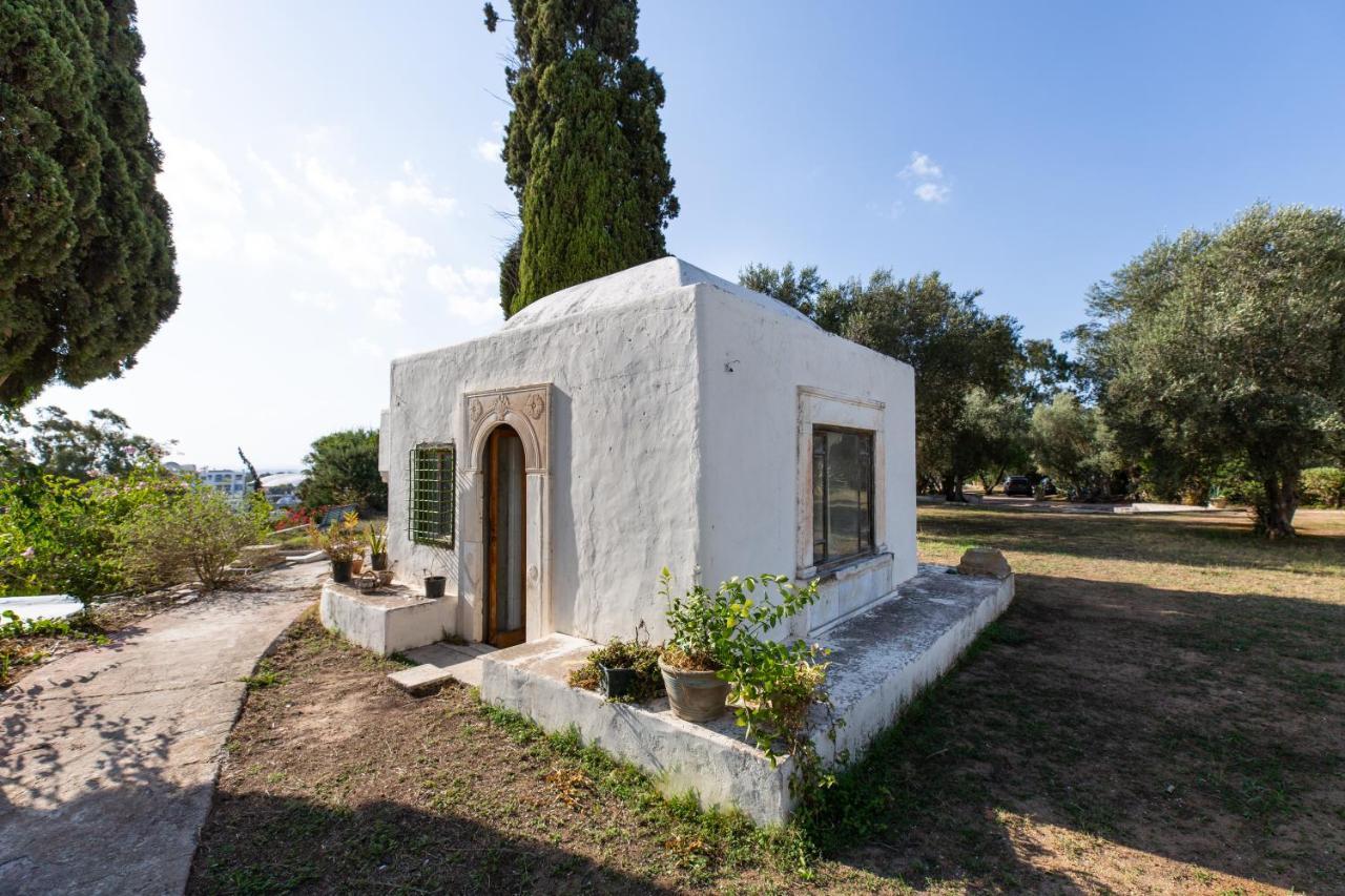 Lella Zohra, Studio Avec Piscine A Sidi Bou Said Bed and Breakfast Exterior foto