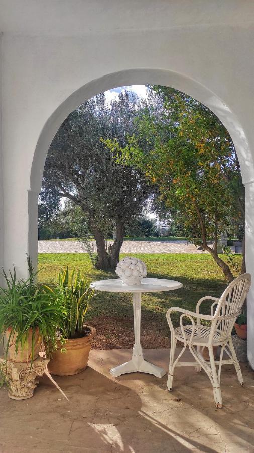 Lella Zohra, Studio Avec Piscine A Sidi Bou Said Bed and Breakfast Exterior foto