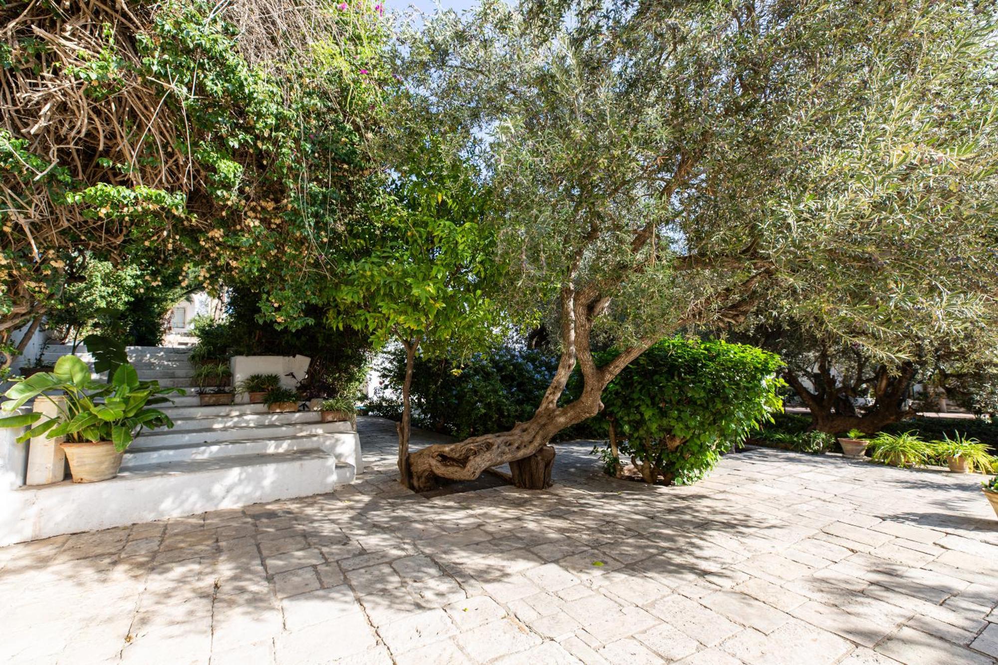 Lella Zohra, Studio Avec Piscine A Sidi Bou Said Bed and Breakfast Exterior foto