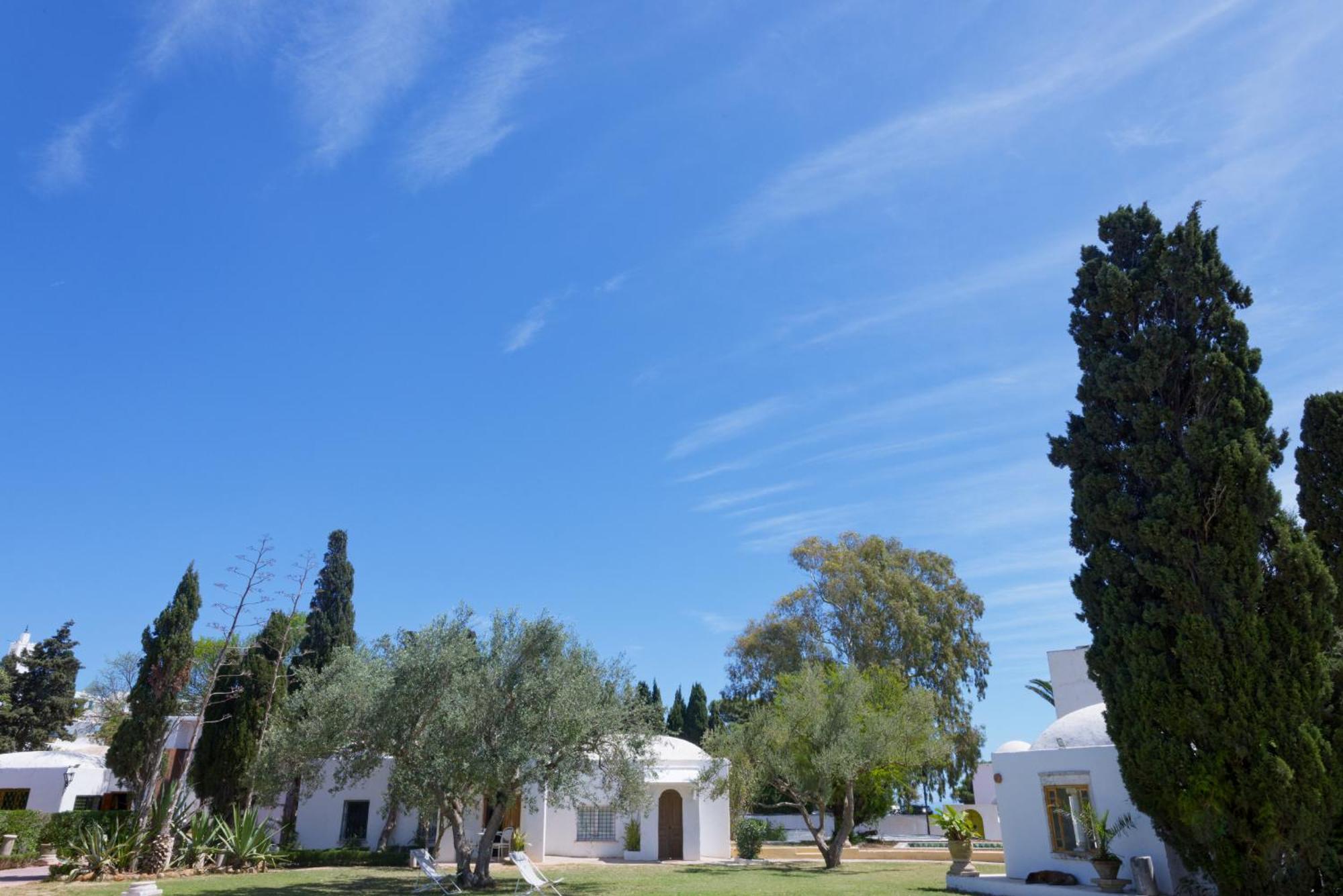 Lella Zohra, Studio Avec Piscine A Sidi Bou Said Bed and Breakfast Exterior foto