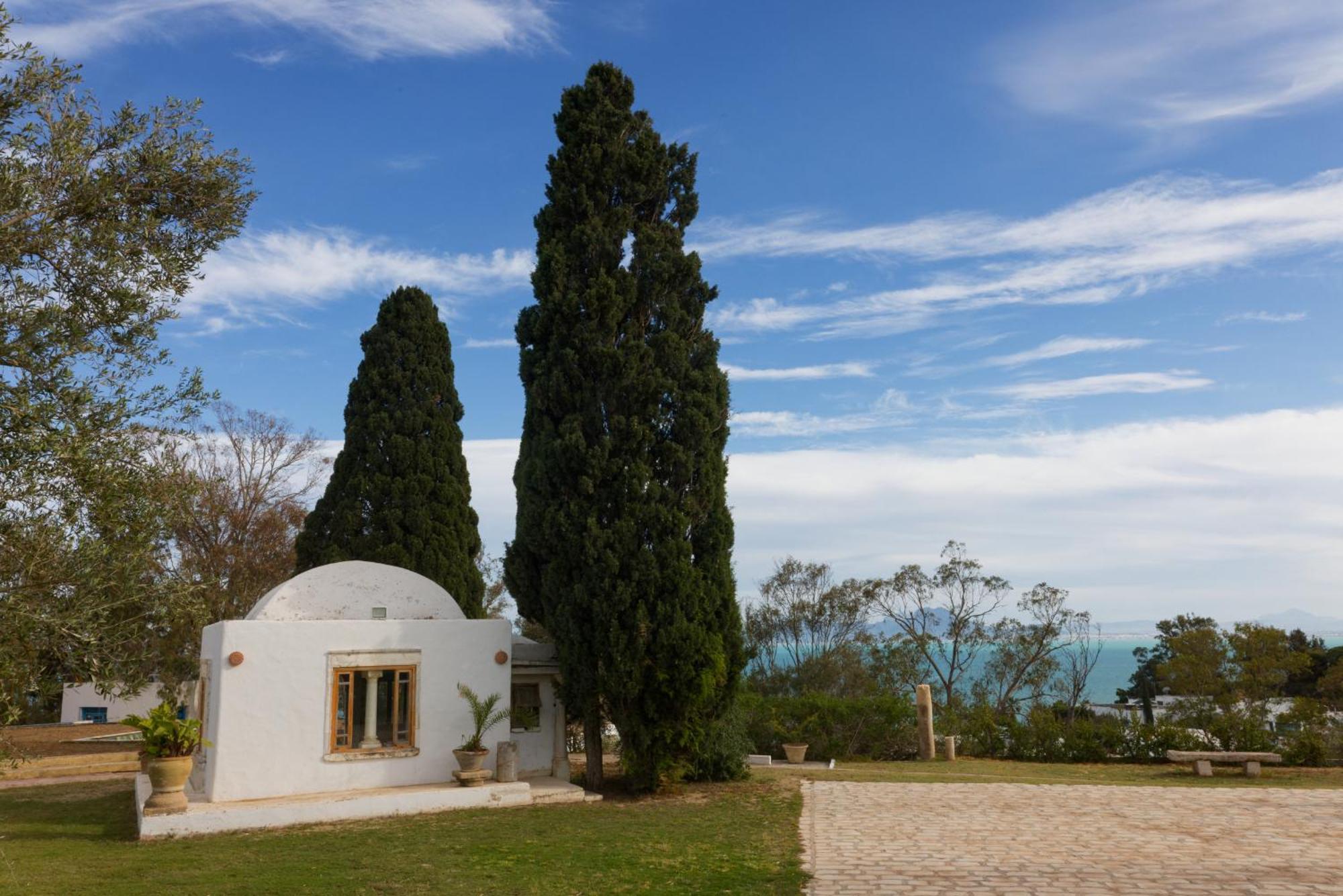 Lella Zohra, Studio Avec Piscine A Sidi Bou Said Bed and Breakfast Exterior foto