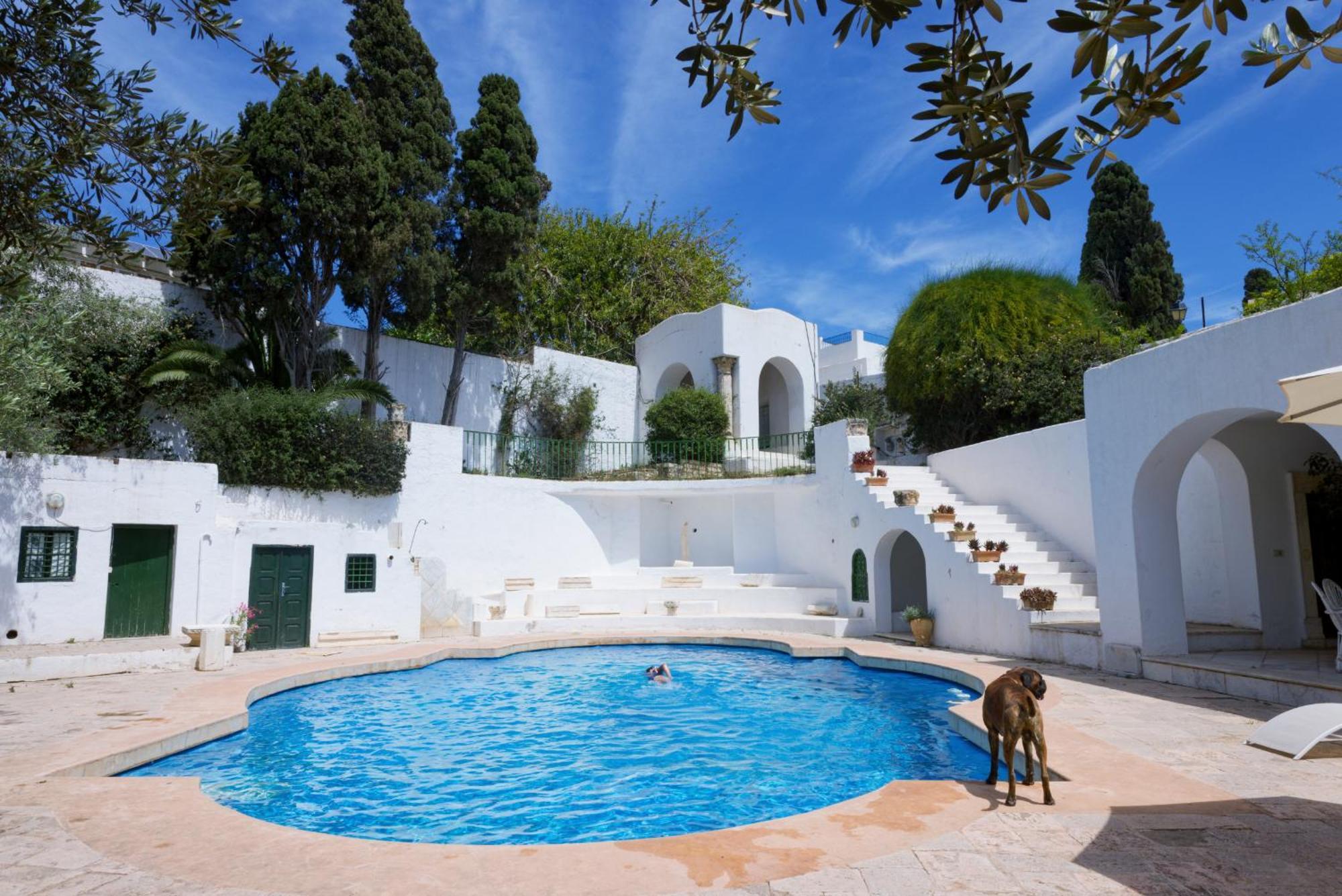 Lella Zohra, Studio Avec Piscine A Sidi Bou Said Bed and Breakfast Exterior foto